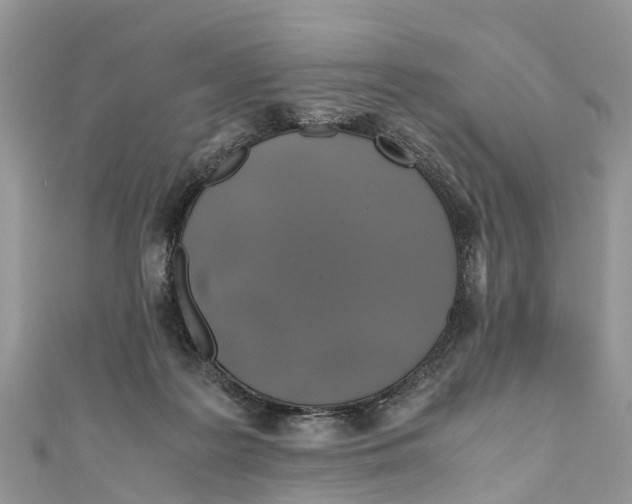X0000110990219200907171758