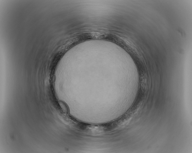 X0000110990221200907171758
