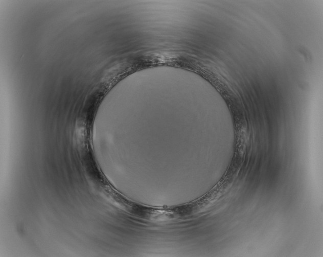 X0000110990222200907171758
