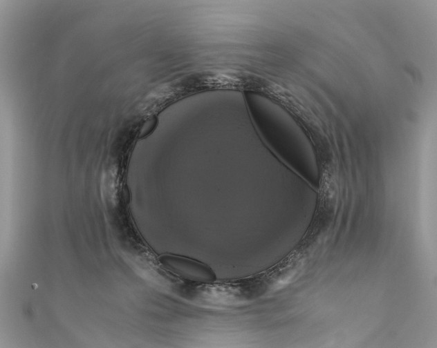 X0000110990223200907171758