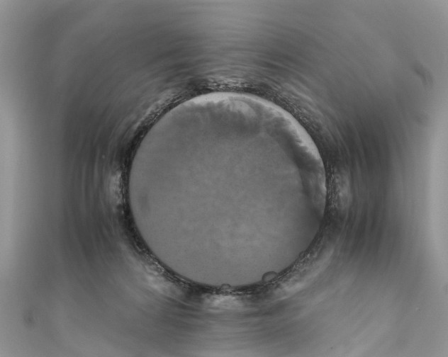 X0000110990224200907171758