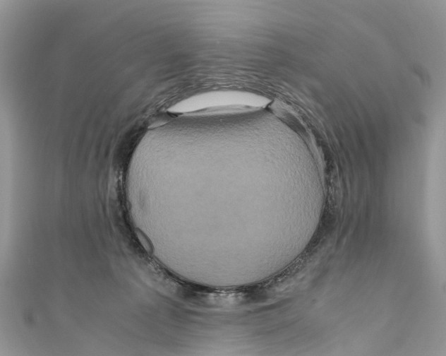 X0000110990225200907171758