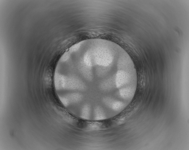 X0000110990226200907171758