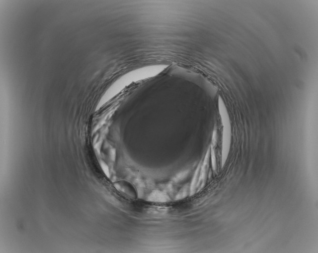 X0000110990227200907171758