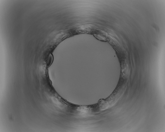 X0000110990231200907171758