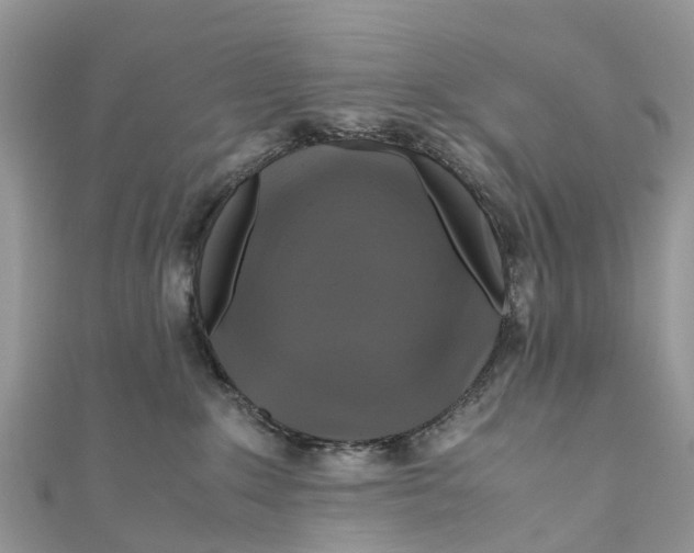 X0000110990235200907171758