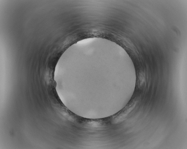 X0000110990236200907171758