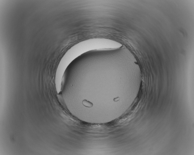 X0000110990237200907171758