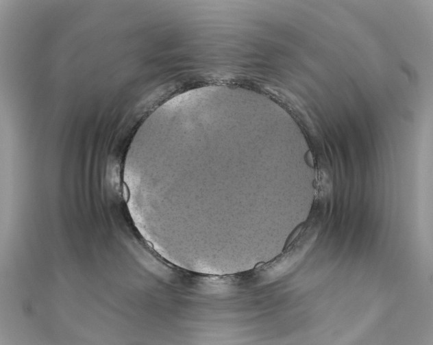 X0000110990238200907171758