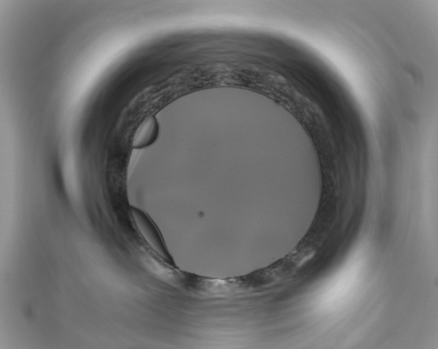 X0000110990239200907171758