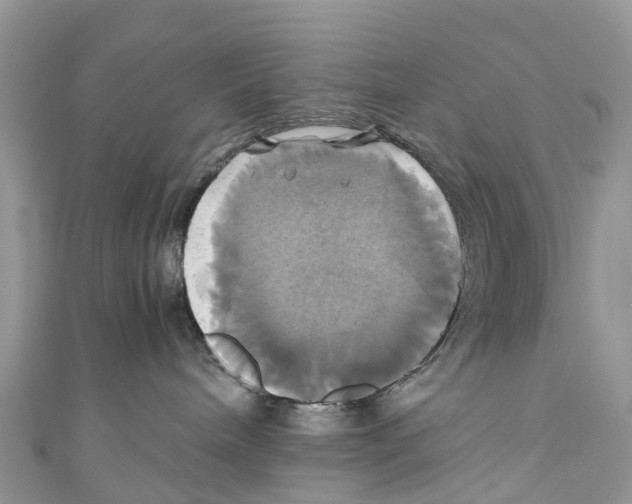 X0000110990240200907171758