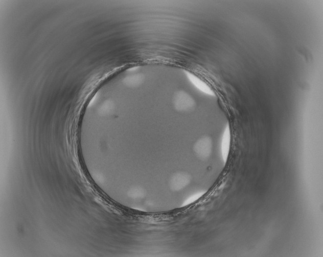 X0000110990241200907171757