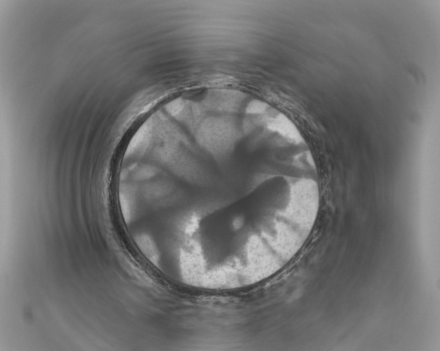 X0000110990242200907171757