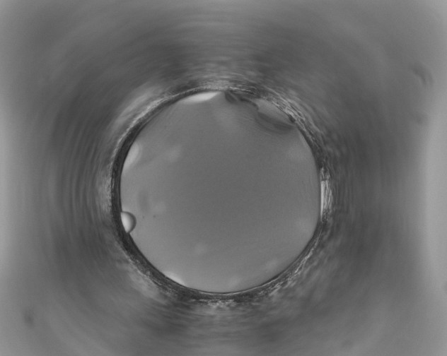 X0000110990243200907171757