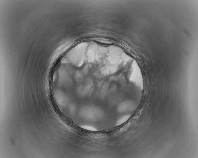 X0000110990245200907171758