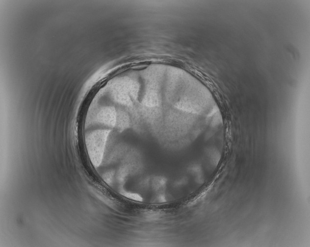 X0000110990246200907171758