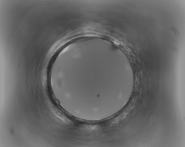 X0000110990247200907171758