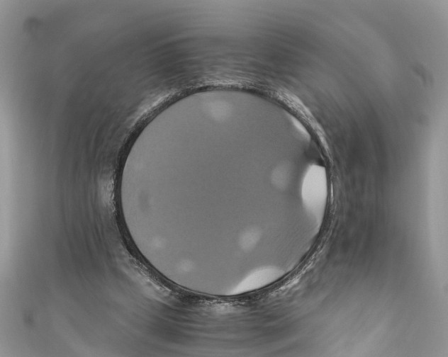 X0000110990249200907171758