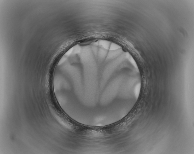 X0000110990250200907171758