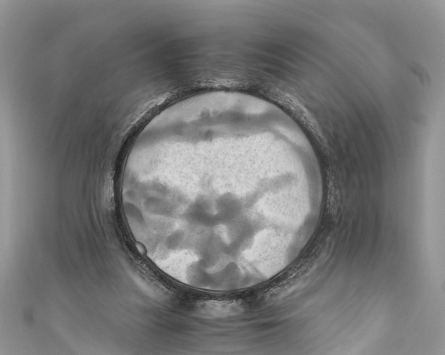 X0000110990251200907171758