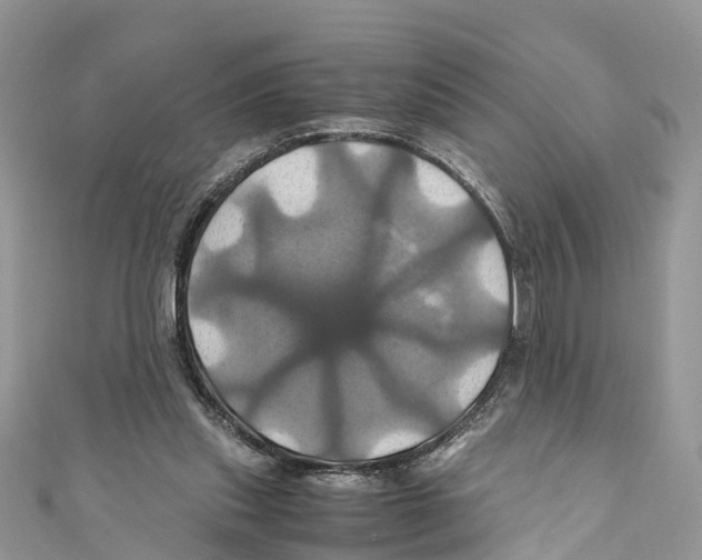 X0000110990253200907171758