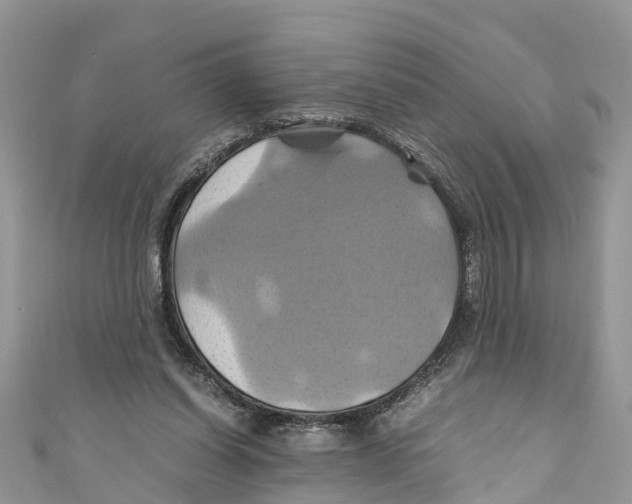 X0000110990254200907171758