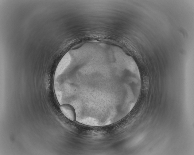 X0000110990255200907171758