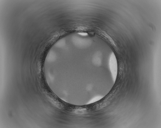 X0000110990257200907171758