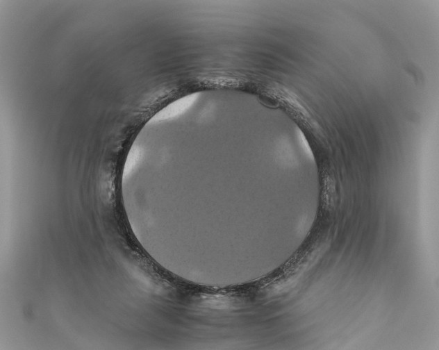 X0000110990259200907171758