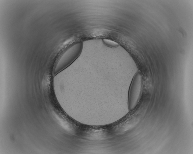 X0000110990260200907171758