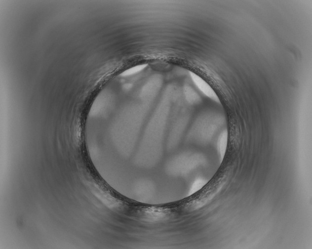 X0000110990261200907171758