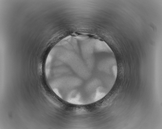X0000110990262200907171758