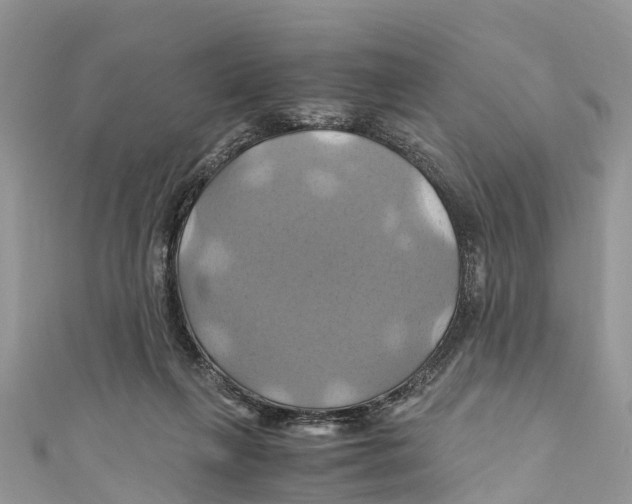 X0000110990263200907171758