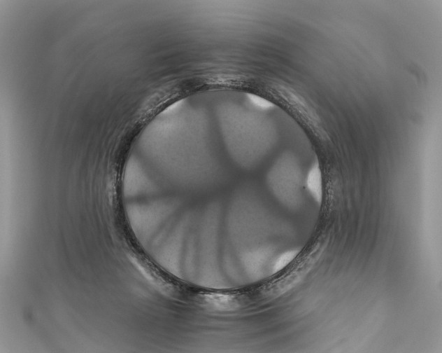 X0000110990265200907171758