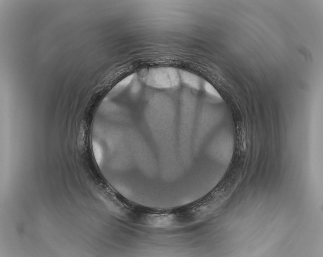 X0000110990266200907171758