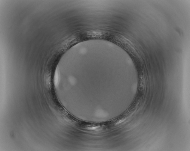 X0000110990267200907171758