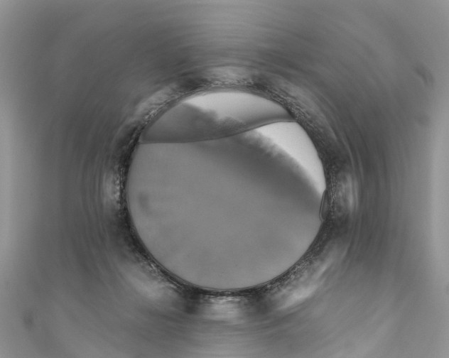 X0000110990268200907171758
