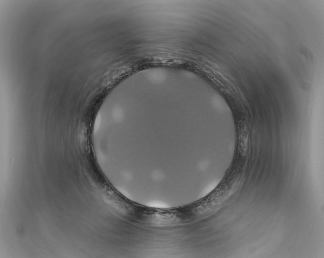 X0000110990270200907171758