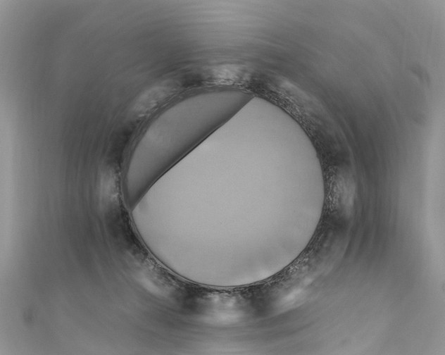 X0000110990272200907171758