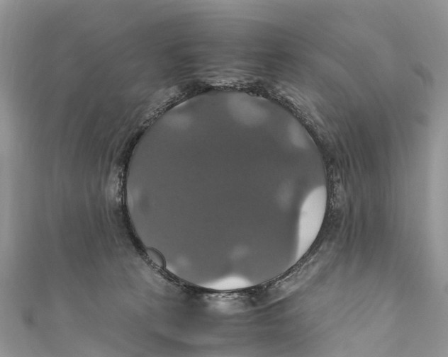 X0000110990273200907171758