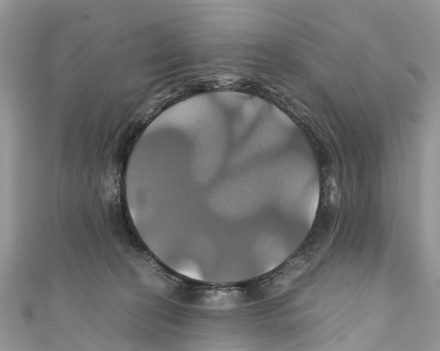 X0000110990274200907171758