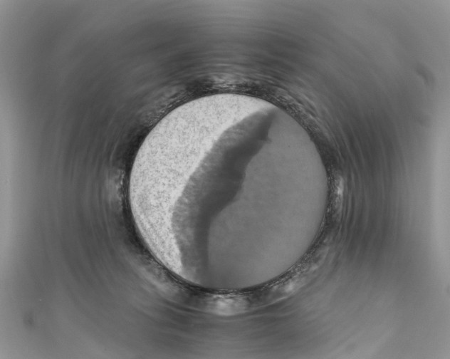 X0000110990275200907171758