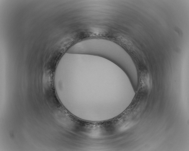 X0000110990276200907171758