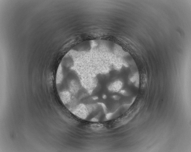X0000110990279200907171758