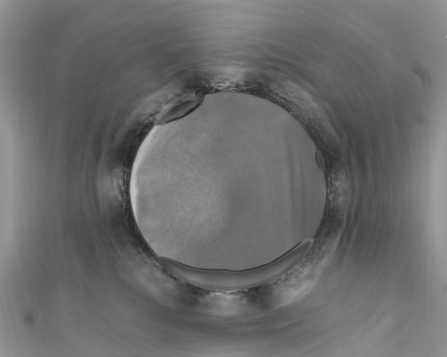 X0000110990280200907171758