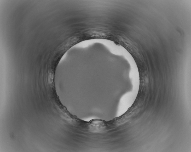 X0000110990281200907171758