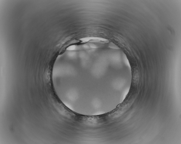 X0000110990282200907171758