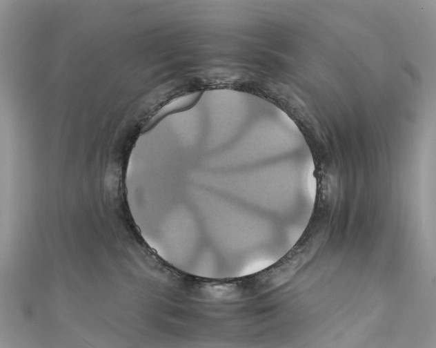 X0000110990283200907171758