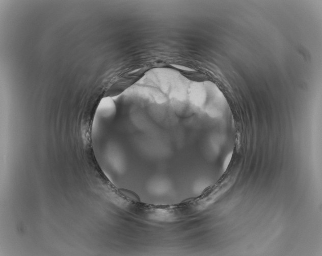 X0000110990285200907171758