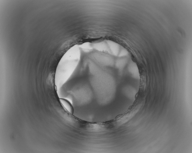 X0000110990286200907171758